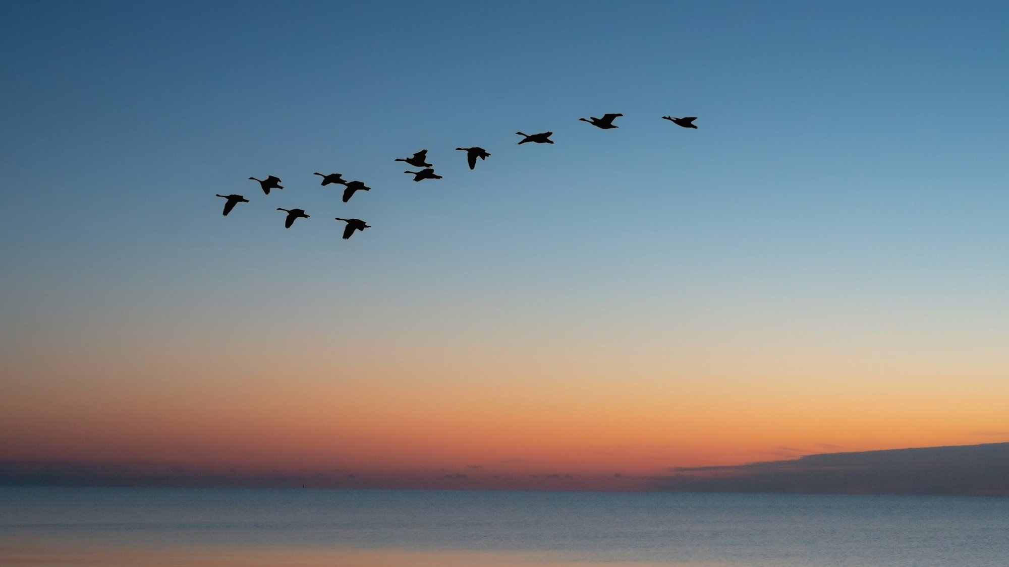 todd-trapani-hCdMjrL5C0Y-unsplash