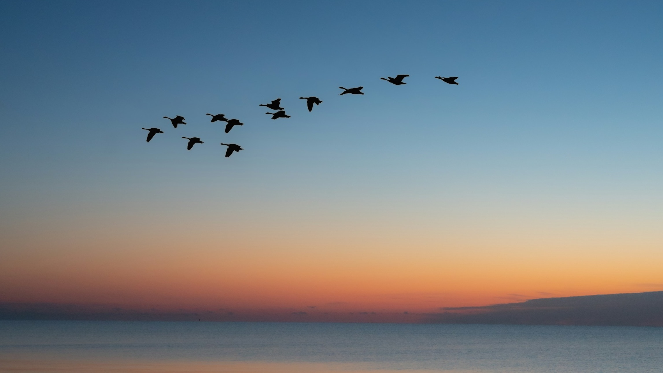 todd-trapani-hCdMjrL5C0Y-unsplash